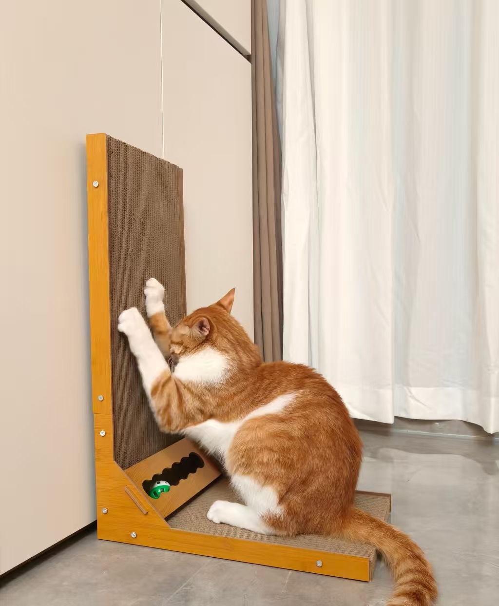 Why Do Cats Need a Scratching Board?