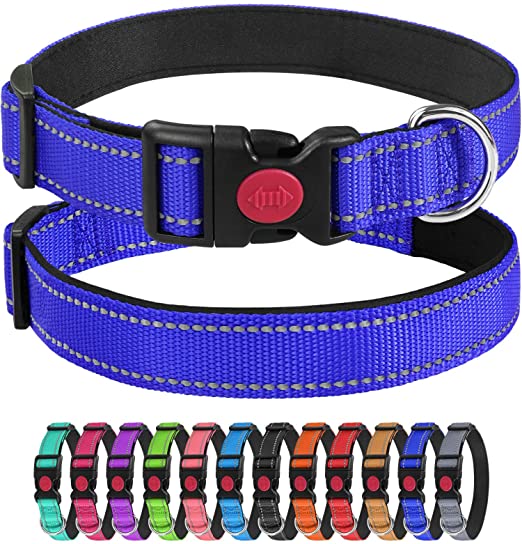 Populus Novifacta Quotidiana Custom Compositio: Nylon Cor Neoprene Padded Dog Collar