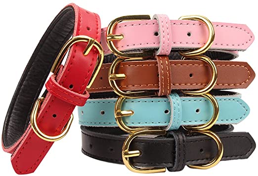 Populus Novifacta Quotidiana Luxuria Padded Cor mollis PU Leather Dog Collar