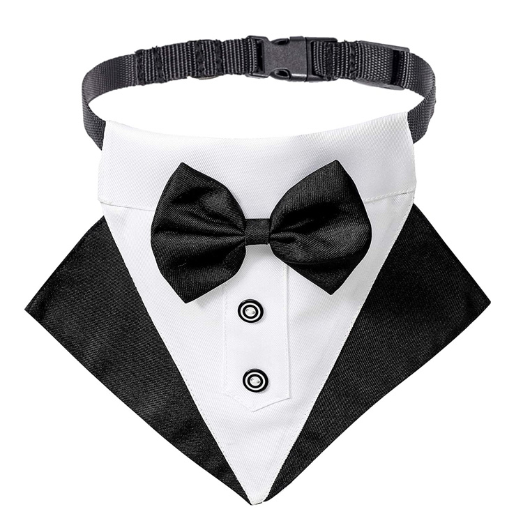 Novifacta Tuxedo Nuptialis Canis Bandana Collar cum Bowtie