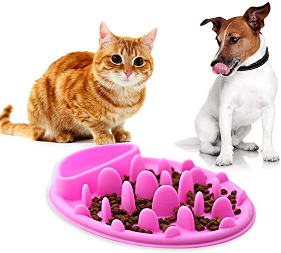 Silicone anti Chocking fun canis Pet Bowl Sanctus PASTOR Cattus