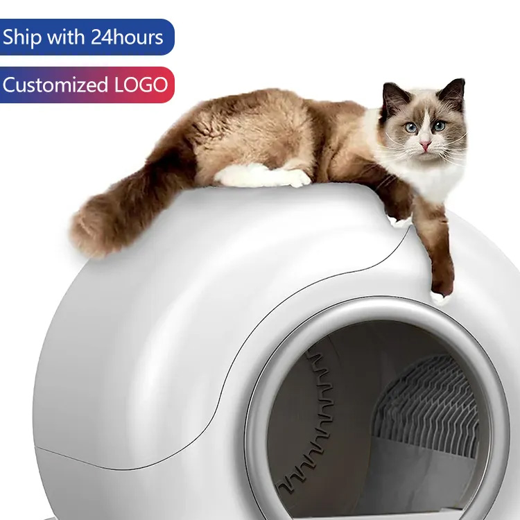 Automatic cattus arca archa dolor app imperium sui Purgato lectica boxes