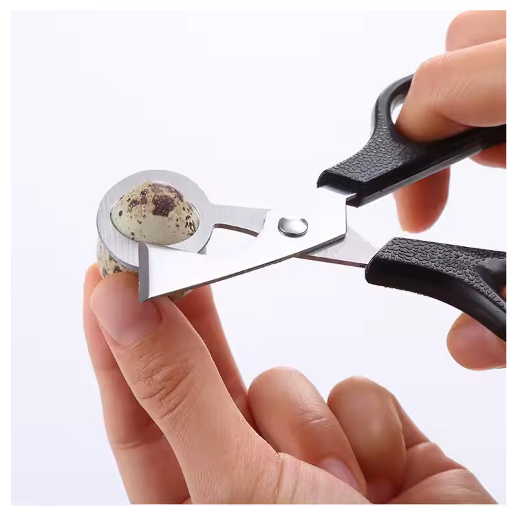 Cheap culina tool columbam coturnix avem ovum clipper cutter scissor