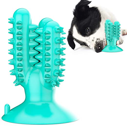 Canem elit Toothbrush Chew Toy