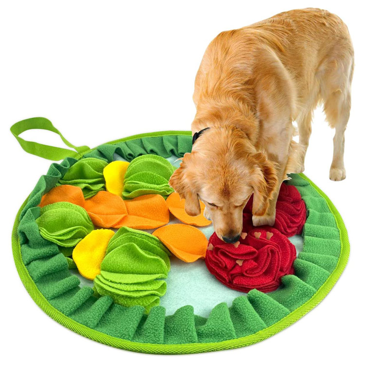 Canem Pascentium Pet Snuffle Mat cum pendens Funem