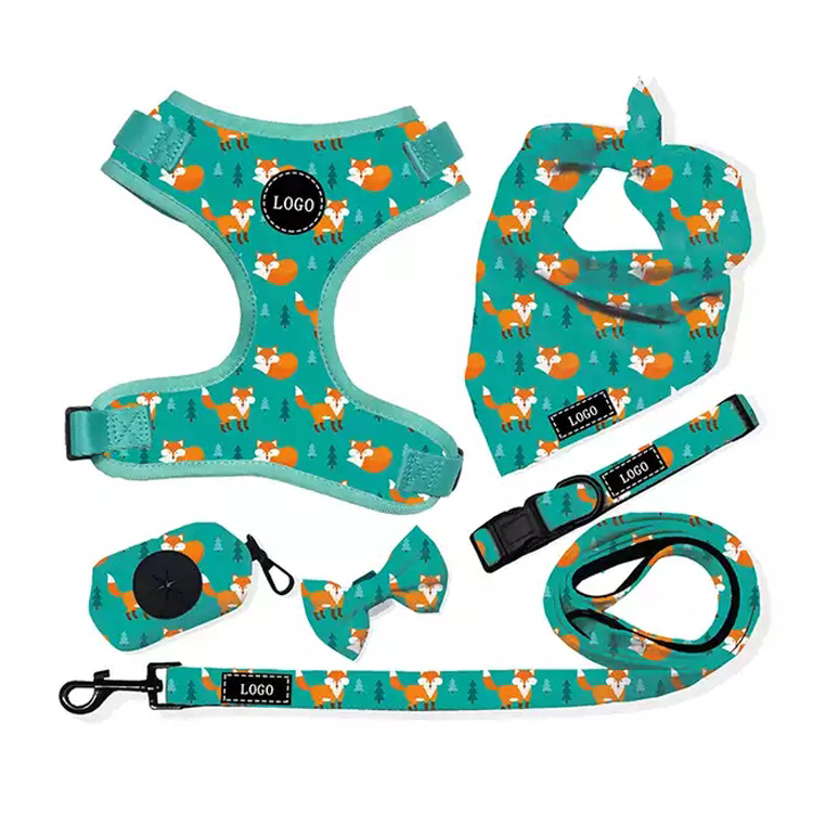 Product Salutis nulla viverra canis iungite et Leash Set