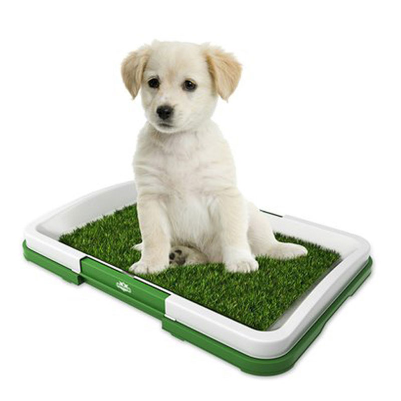 Umbraticis herba Matth Cor Potty Tray