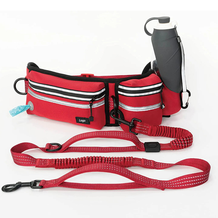 Manus Free ambulans Cingulum canis Leash cum Waist Bag