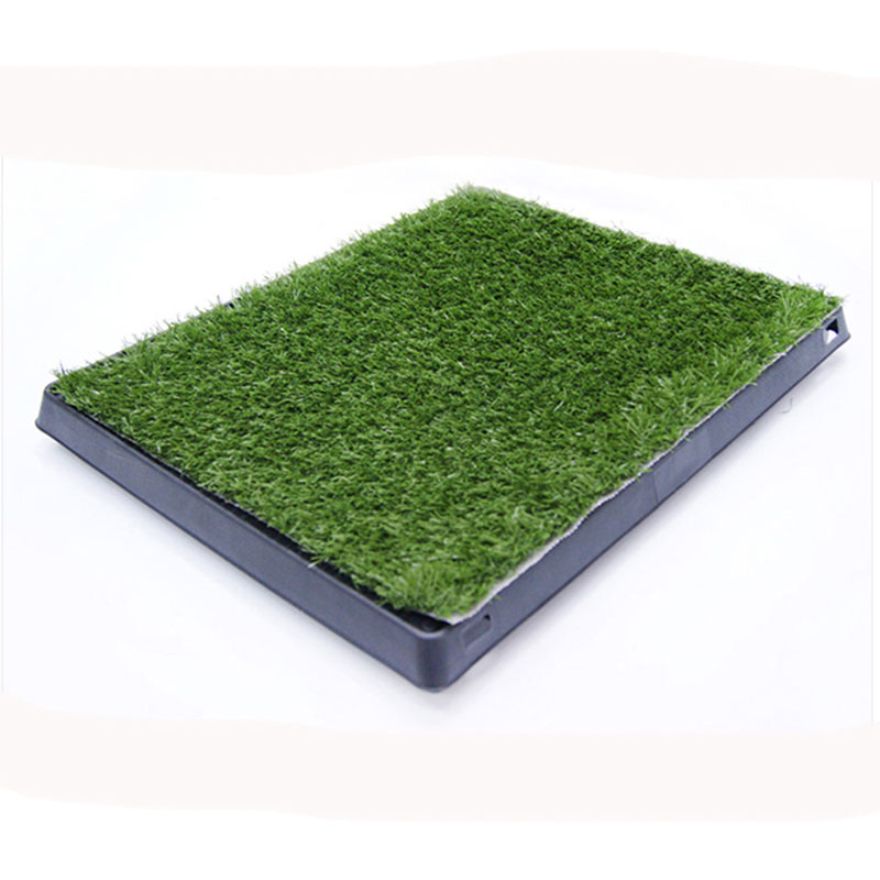 Indoor Pet Potty Dog Grass metus cum Tray