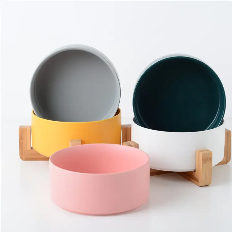 Multi Ceramic Ceramic Frame Petr Cat Cat Canis Crater