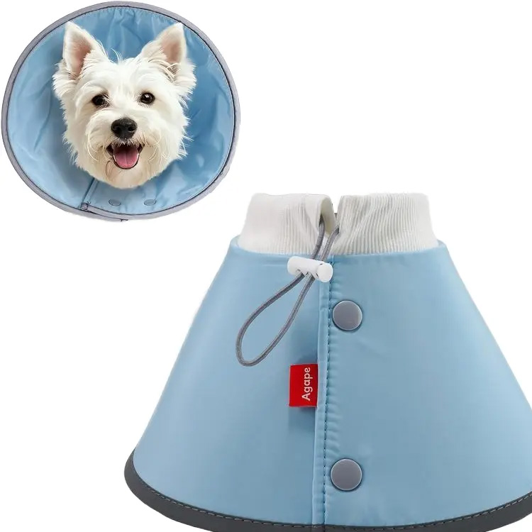 Pet e-torquem excelsum viribus Eva comfortable consilio recuperatio