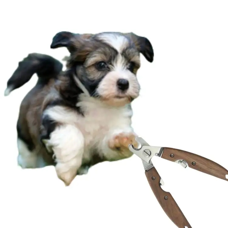 Pet Nail Grooming Tool: Rector ut eligens optimus Pet Nail Clipper