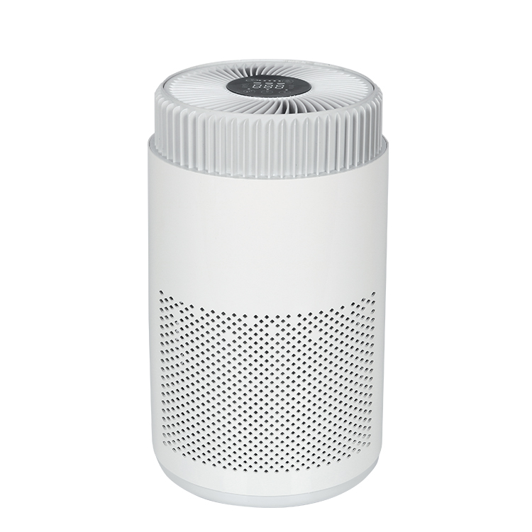 PM2.5 Odor Removal HEPA Anion Air Purificans