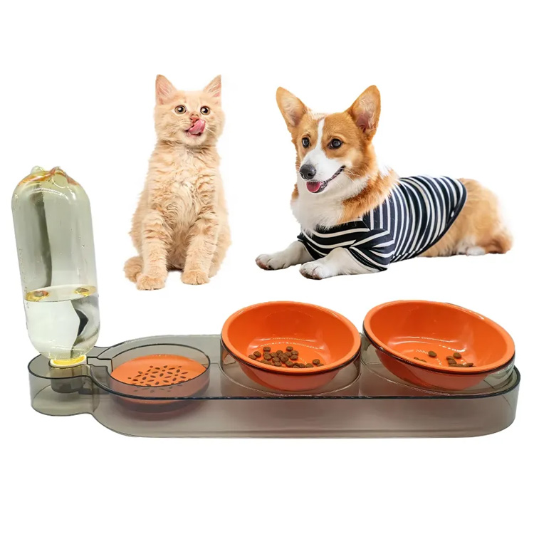 Professional Design Cattus canis Cibum Pascere Crater PASTOR
