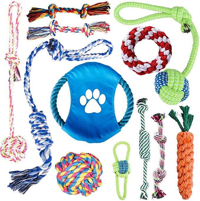 Puppy Instructible Canis Funis Toy