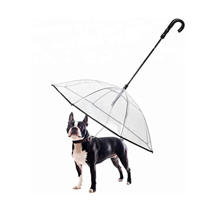 Perspicuus pet canis puppy Raincoat O Lya subinducta Holder