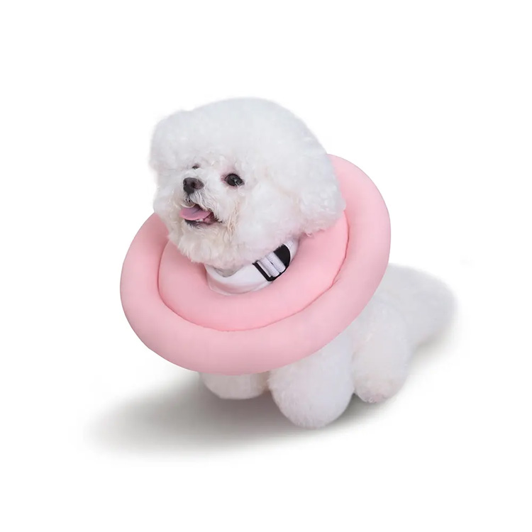 Recuperatio canis Elisabeth Collar Collar Elizabethan Cattus pet
