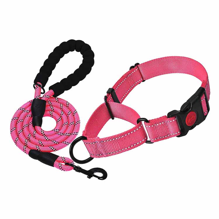 Custom reflective Novifacta Dog Collar, et pone Leash