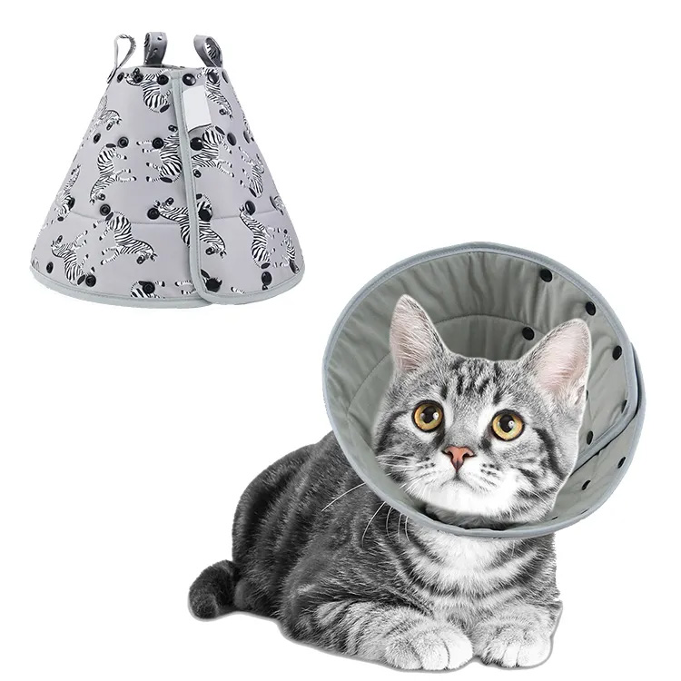 Mollis Recuperatio Pet Dem Collar Collar Cattus Pet Recuperatio Collar
