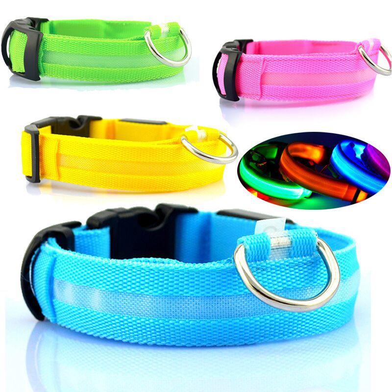 Sursum Glowing USB Rechargeable lux LED Lucis Dog Collar