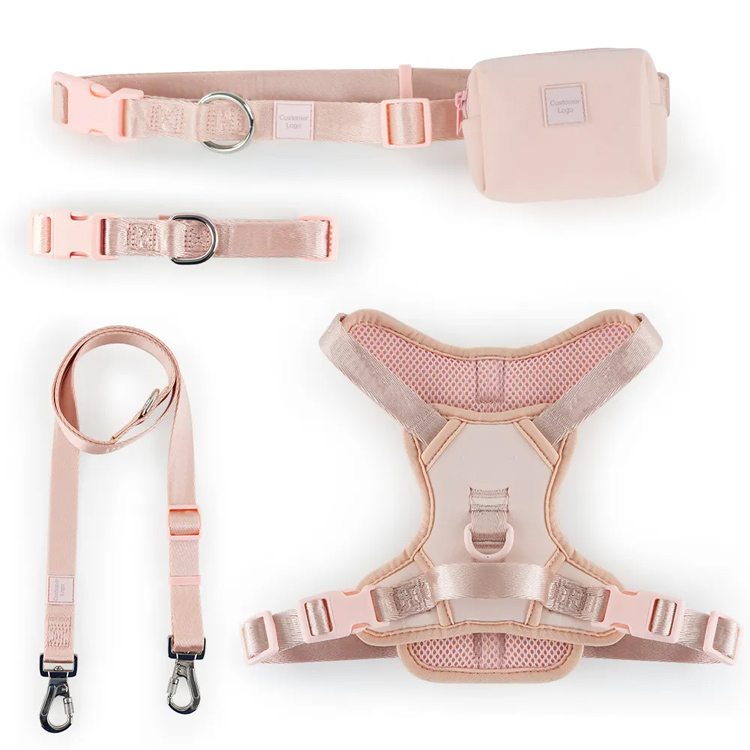 Vesta set Vocabulary Padded Pet arma cum torquem et lorum